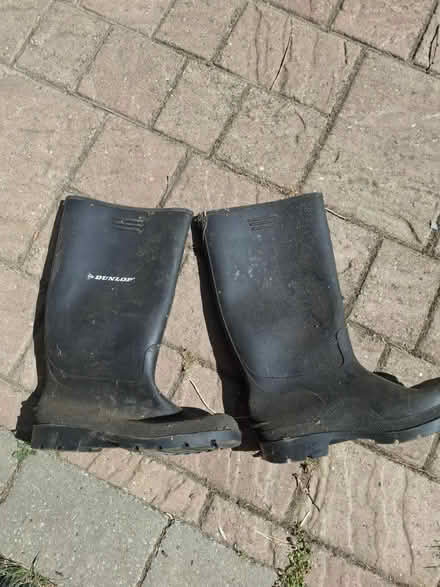 Photo of free Mens wellies size 10 (York, YO26) #1