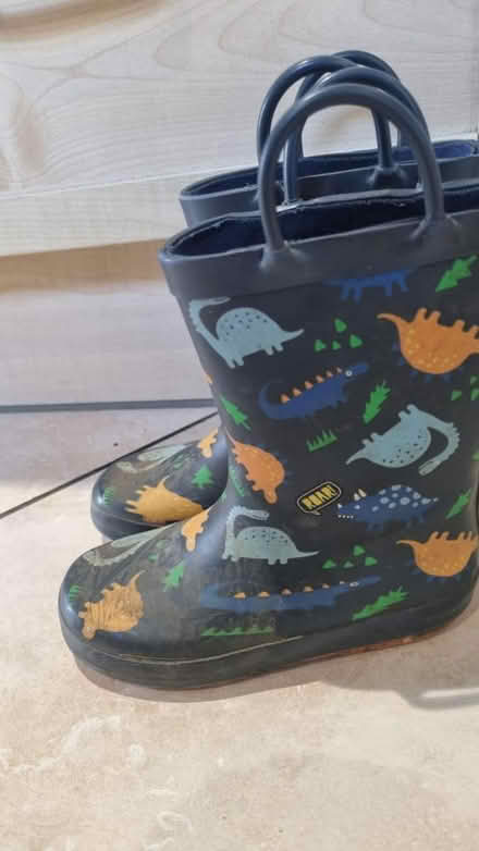 Photo of free Kids dinosaurs wellies UK11 (Biggleswade SG18) #2