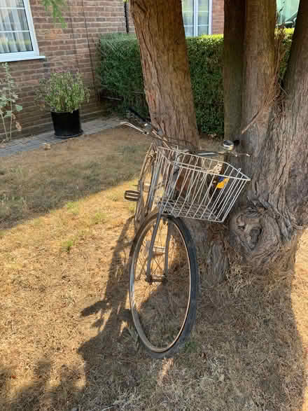 Photo of free Ladies bike (AL7 3NH) #2