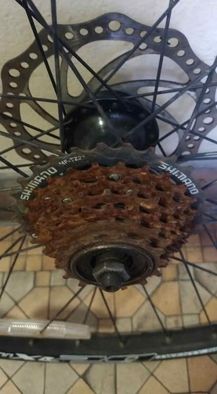 Photo of free Bike rear wheel (Brooklyn 11218) #3
