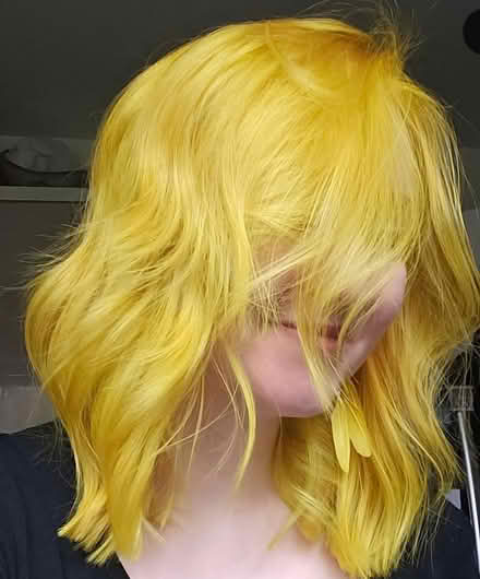 Photo of free Canary yellow semi-permanent (Gateshead (NE8)) #3
