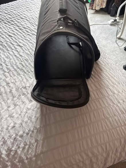 Photo of free Small cat carrier (Worcester) #3