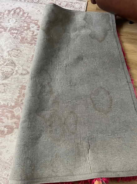 Photo of free Pink shaggy rug (Clermiston EH4) #2