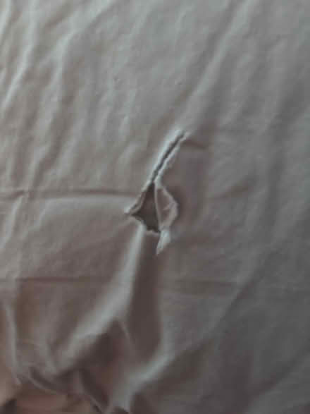Photo of free Full size comforter (Broomall - Lawrence Park area) #2