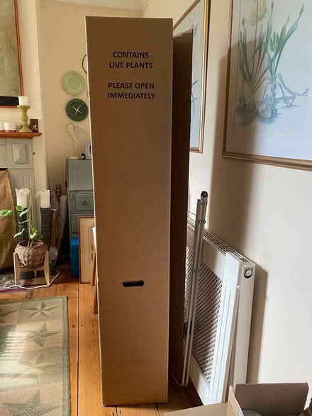 Photo of free Tall Strong Cardboard Box (Margate CT9) #2