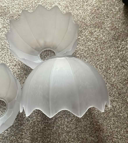 Photo of free Opaque glass lampshades x 3 (Strood ME2) #1