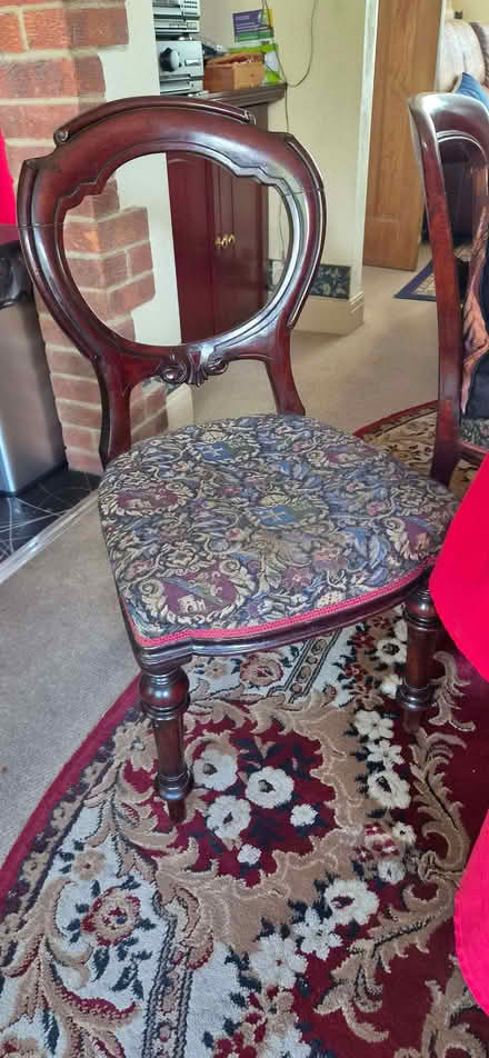 Photo of free 6 dining chairs (West Blatchington BN3) #2