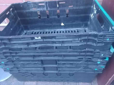 Photo of free Plastic basket trays (Old Basford NG6) #1