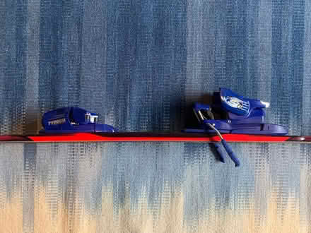 Photo of free Skis (Forest glade E4) #3