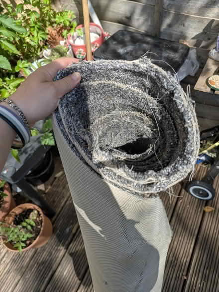 Photo of free Carpet good condition (Downs barn) #2