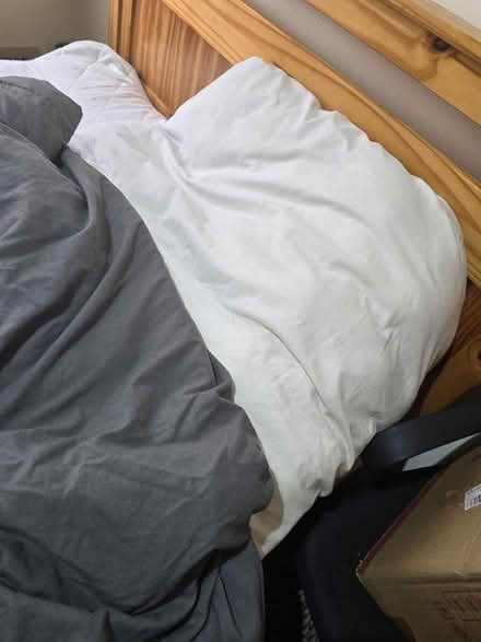 Photo of free 2 x duvet (Forgewood ML1) #2