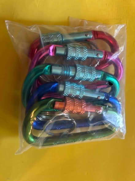 Photo of free 5 x Large carabiners (Friendship Heights) #3