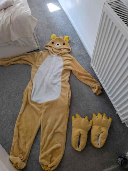 Photo of free Bear onesie with hood and matching slippers (Hove BN3) #1