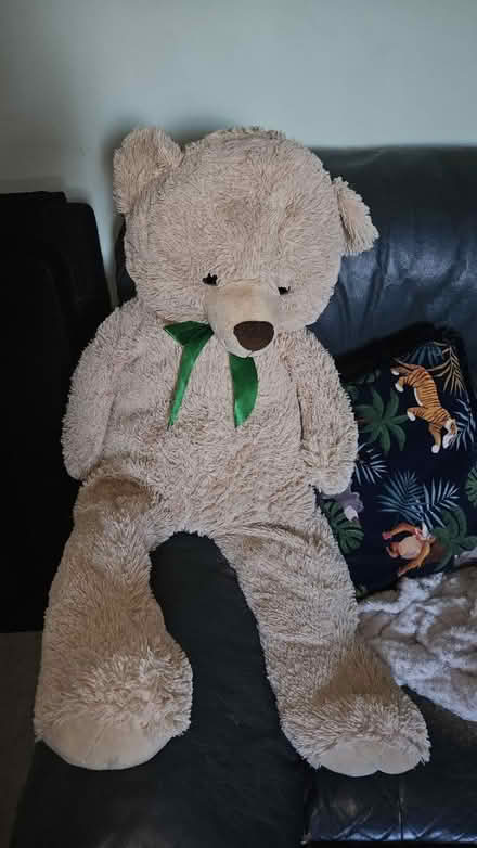 Photo of free Teddy Bear (Westgate CT8) #1