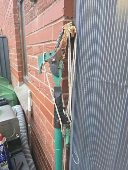 Photo of free Lang range Pruner (Walton L4) #1