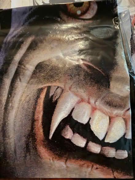 Photo of free Window covers Dracula (Downers Grove) #2
