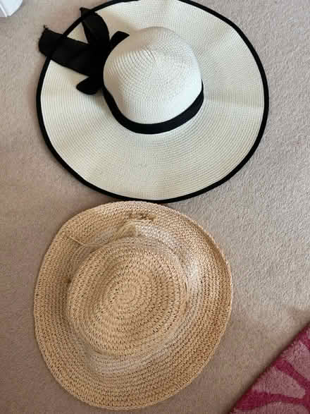 Photo of free 2 sunhats (Wargrave RG10) #2