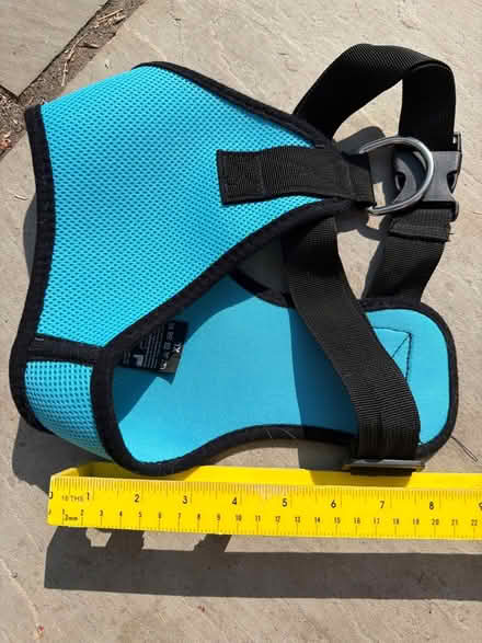 Photo of free XL dog harness (Twerton, BA2) #1