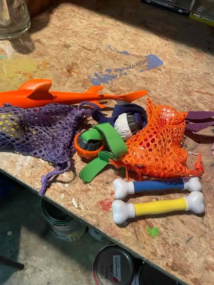 Photo of free Diving toys (Lynnwood) #1