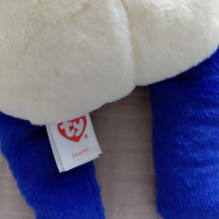 Photo of free Domino the Panda (Union City) #2