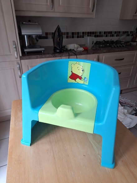 Photo of free Disney Winnie the Pooh Toddler Potty Chair – Blue & Green (Devizes SN10) #1