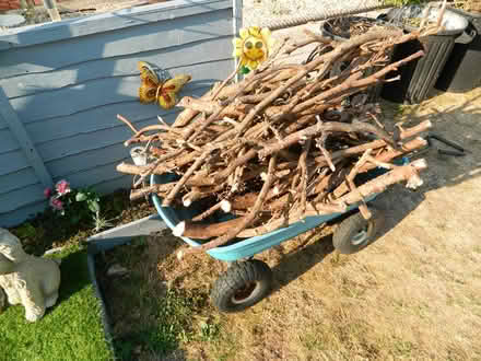 Photo of free logs (taunton TA4) #2
