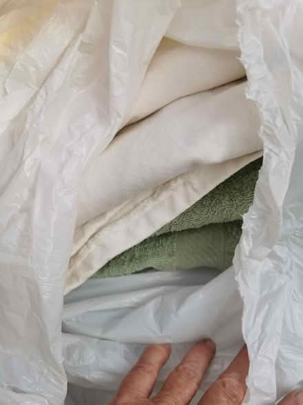 Photo of free Old towels/sheets for animal rescue (Leighton Buzzard LU7) #2
