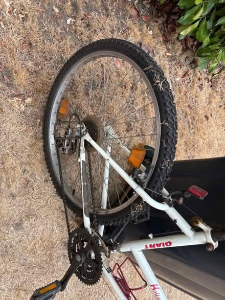 Photo of free Bike (Farnham GU9) #3