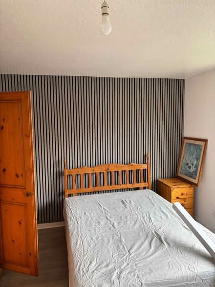 Photo of free Wall panel (Paisley PA1) #2