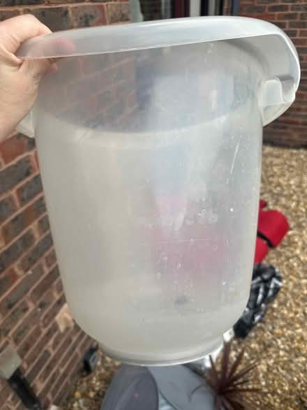 Photo of free Tummy tub bath for newborns (Canada Water SE16) #1