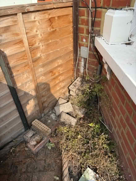 Photo of free Bricks (Alexandra Palace, London, N22) #2