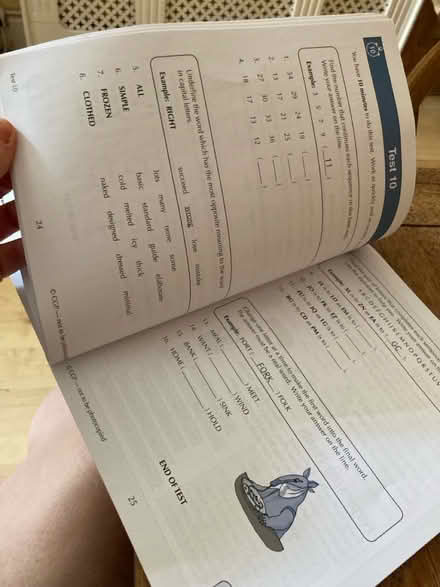 Photo of free 11+ verbal reasoning 10 min tests (Wooburn Green, HP10) #4