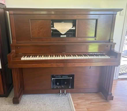 Photo of free Pianola (Glasshouse Mountains) #1