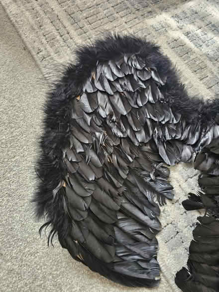 Photo of free Child/adult black wings (Stevenage SG1) #2