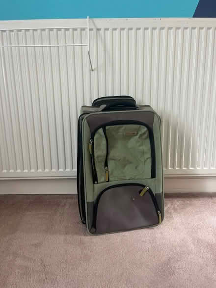 Photo of free Small green antler suitcase (Primrose, Lancaster LA1) #1