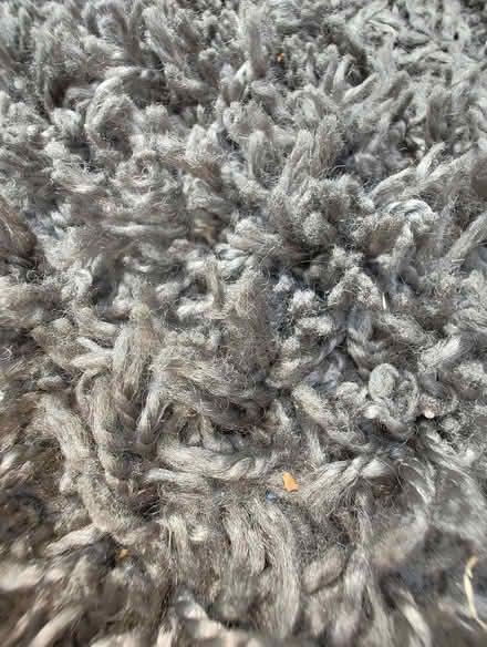 Photo of free Large grey rug (Charminster BH8) #4