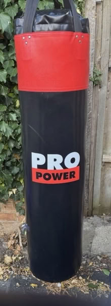 Photo of free Pro power punch bag (Burpham surrey) #2