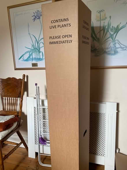 Photo of free Tall Strong Cardboard Box (Margate CT9) #1
