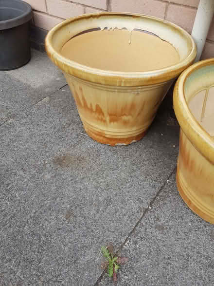 Photo of free Large Ceramic Plant Pots (Kendal LA9) #2