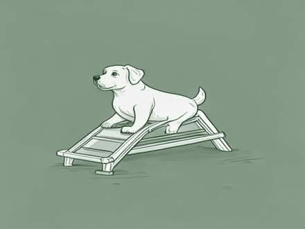 Photo of dog ramp for car (Penrith CA11) #1