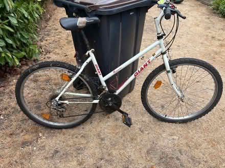 Photo of free Bike (Farnham GU9) #1