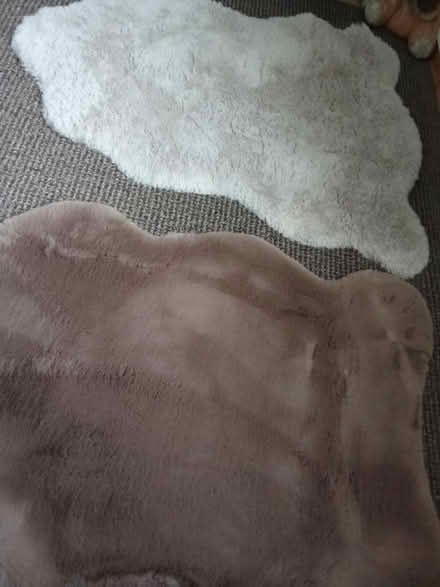 Photo of free Rugs (Willesborough) #1