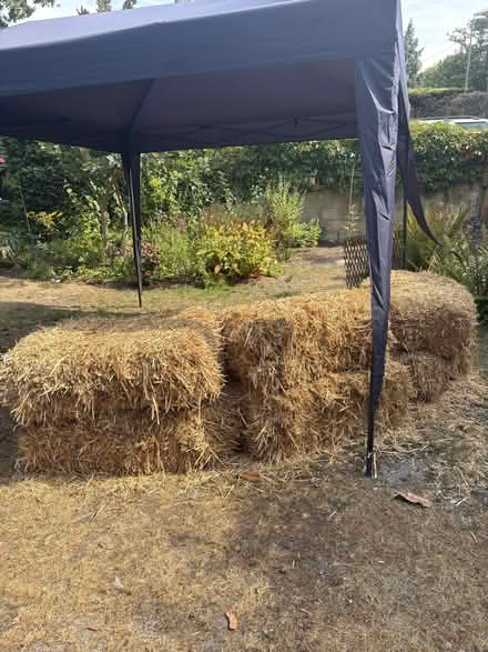 Photo of free Hay bales (RH20) #1