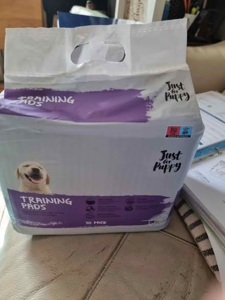 Photo of free Puppy training pads (Steventon OX13) #1