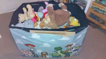 Photo of free Old Toy Story foldable toy box (Eccleshill BD10) #2