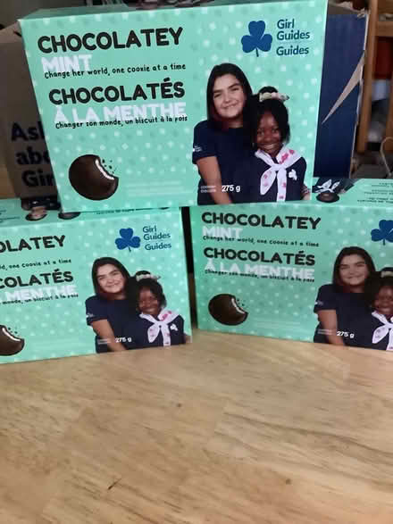 Photo of free 3 chocolate mint girl guide cookies (Dovedale Dr & Rosedale Dr) #1