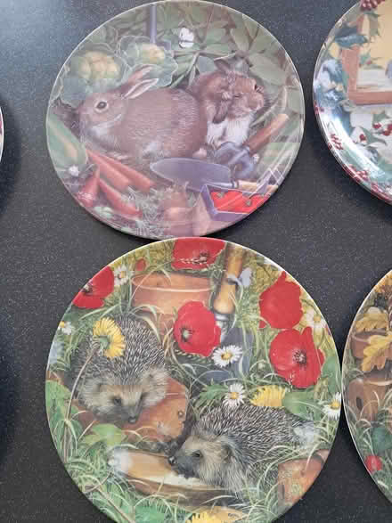 Photo of free Coalport decorative plates (Belper DE56) #2