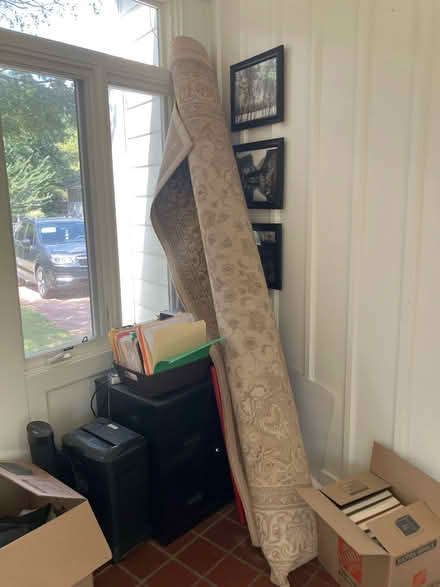 Photo of free rugs (Midtown) #1