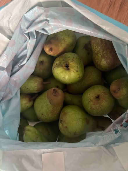 Photo of free Pears (Twerton BA2) #1