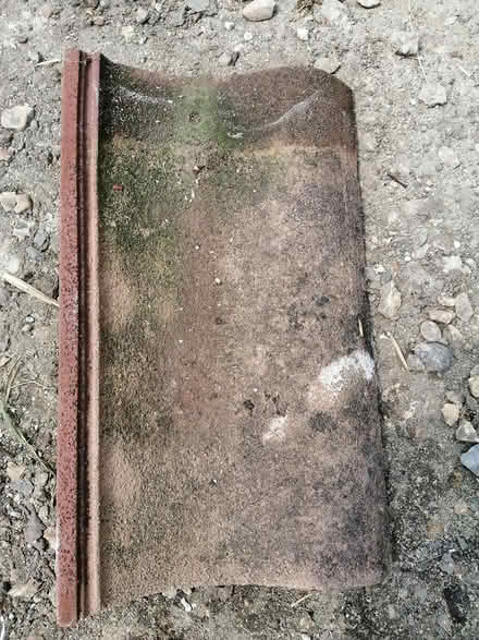 Photo of free Redland roof tiles (Martock) #1